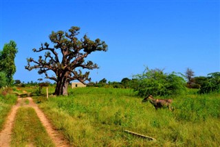 Senegal weather forecast