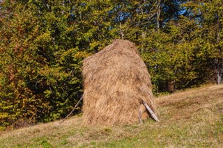 Serbia weather forecast