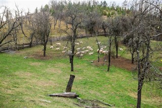 Serbia weather forecast