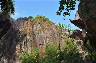 Seychelles weather forecast