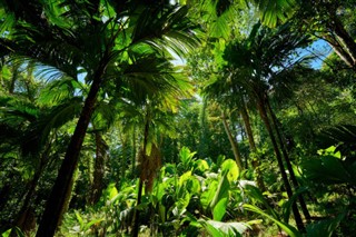 Seychelles weather forecast