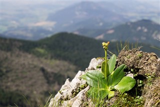 Slovakia weather forecast