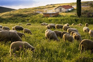 Slovakia weather forecast