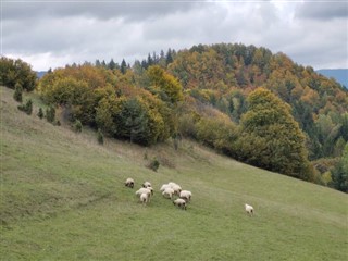 Slovakia weather forecast