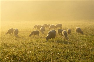 Słowacja prognoza pogody