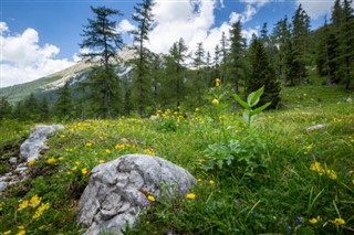 Slovenia weather forecast