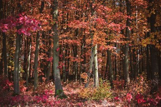 Eslovenia pronóstico del tiempo