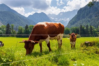 Slovenia weather forecast