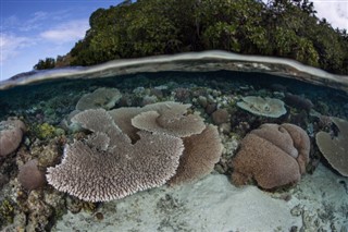 Solomon Islands weather forecast