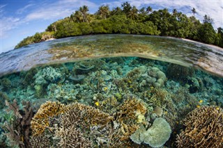 Solomon Islands weather forecast