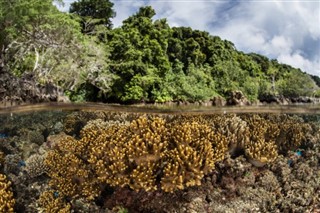 Solomon Islands weather forecast