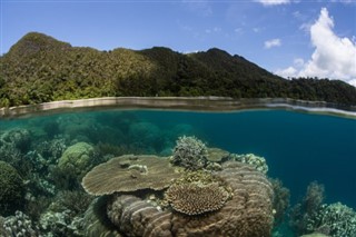 Solomon Islands weather forecast