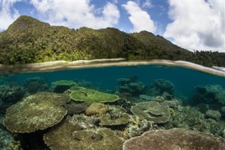 Solomon Islands weather forecast