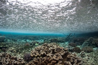 Solomon Islands weather forecast