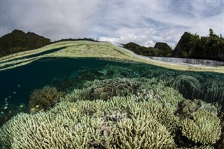 Solomon Islands weather forecast