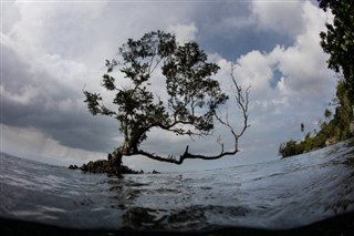 Solomon Islands weather forecast