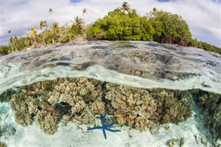 Islas Salomón pronóstico del tiempo