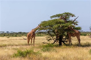 Somalia weather forecast