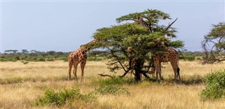 Somalia weather forecast