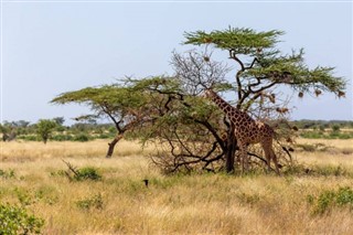 Somalia weather forecast