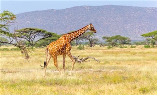 Somalia weather forecast