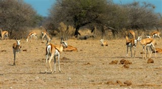 Somalia weather forecast