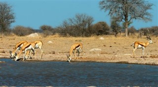 Somalia pronóstico del tiempo