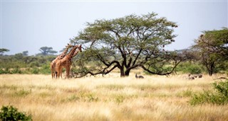 Somalia weather forecast