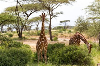 Somalia pronóstico del tiempo