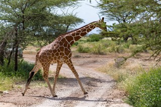 Somalija vremenska prognoza