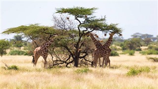 Somalia weather forecast