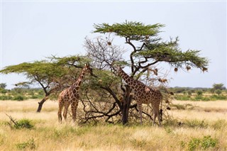 Somalia weather forecast