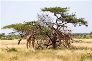 Somalia weather forecast