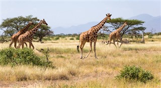 Somalia weather forecast