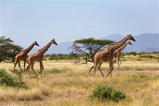 Somalia weather forecast