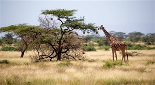 Somalia weather forecast