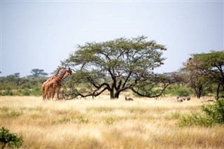 Somalia weather forecast