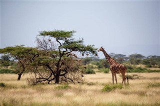 Somalia weather forecast