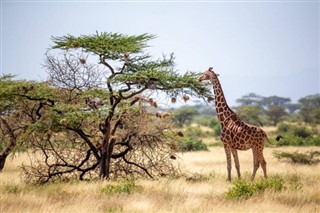 Somalia weather forecast