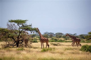 Somalia weather forecast