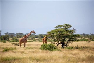 Somalia pronóstico del tiempo