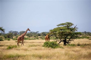 Somalia weather forecast