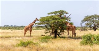 Somalia weather forecast