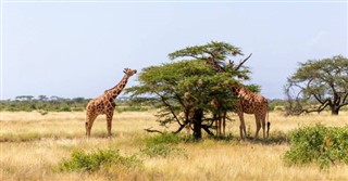 Somalia weather forecast