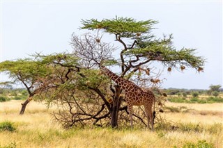 Somalia weather forecast