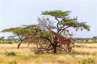 Somalia weather forecast