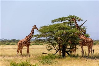 Somalia weather forecast