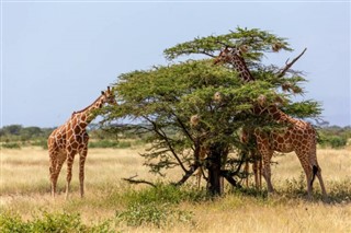 Somalia weather forecast