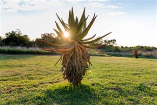 Južna Afrika vremenska prognoza