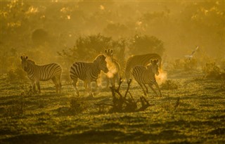 South Africa weather forecast